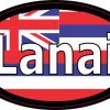 Oval Hawaii Flag Lanai Sticker