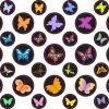 Butterfly Camera Dots®