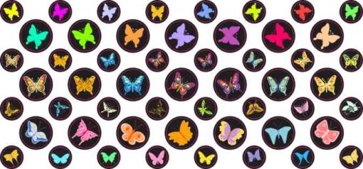 Butterfly Camera Dots®