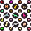 StickerTalk® Dog Camera Dots® Webcam Covers