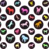 StickerTalk® Horse Camera Dots® Webcam Covers