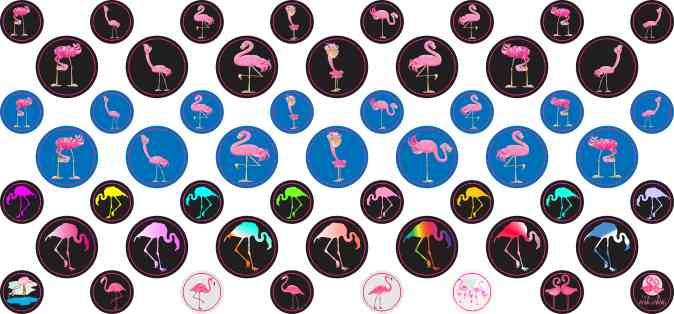 Flamingo Camera Dots