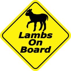 Lambs On Board Sticker