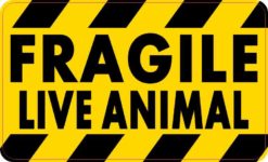 Fragile Live Animal Magnet