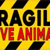 Red Fragile Live Animal Sticker