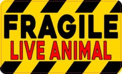 Red Fragile Live Animal Magnet