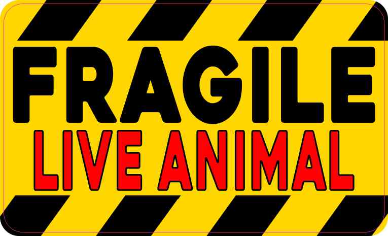 Red Fragile Live Animal Magnet