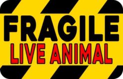 Red Fragile Live Animal Magnet