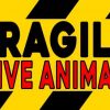 Red Fragile Live Animal Sticker