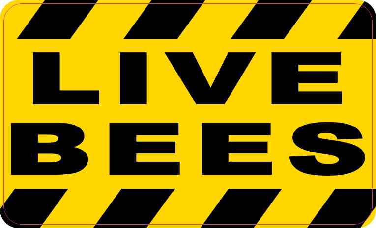 Live Bees Magnet