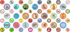Zoo Animal Camera Dots