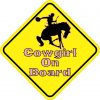 Pink Cowgirl On Board Magnet