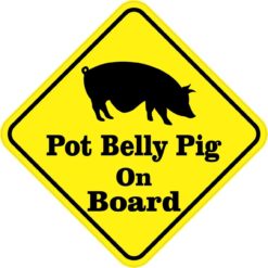 Pot Belly Pig On Board Magnet