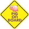 Pig on Board Magnet