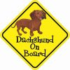 Dachshund On Board Magnet