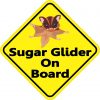 Sugar Glider On Board Magnet