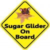 Sugar Glider On Board Magnet
