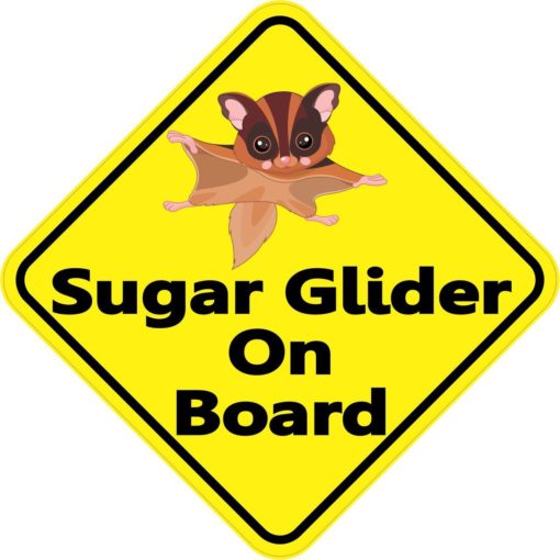 Sugar Glider On Board Sticker