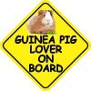 Guinea Pig Lover On Board Sticker