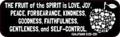 Galatians 5:22-23 Magnet