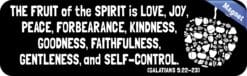 10in x 3in Galatians 5:22-23 Magnet