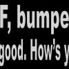 Bumper Humper Magnet