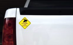 Alternative view of 5in x 5in Pink Cowgirl On Board Magnet