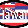 Flag Oval Hawaii Sticker