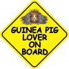 Guinea Pig Lover on Board Magnet