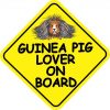 Long Haired Guinea Pig Lover on Board Sticker