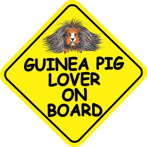 Long Haired Guinea Pig Lover on Board Sticker