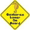 Seahorse Lover On Board Magnet