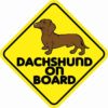 Male Dachshund On Board Magnet