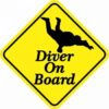 Skydiving Diver On Board Sticker