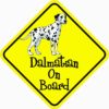 Dalmatian On Board Sticker