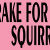 Pink I Brake for Suicidal Squirrels Sticker