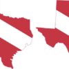 Diver Down Flag