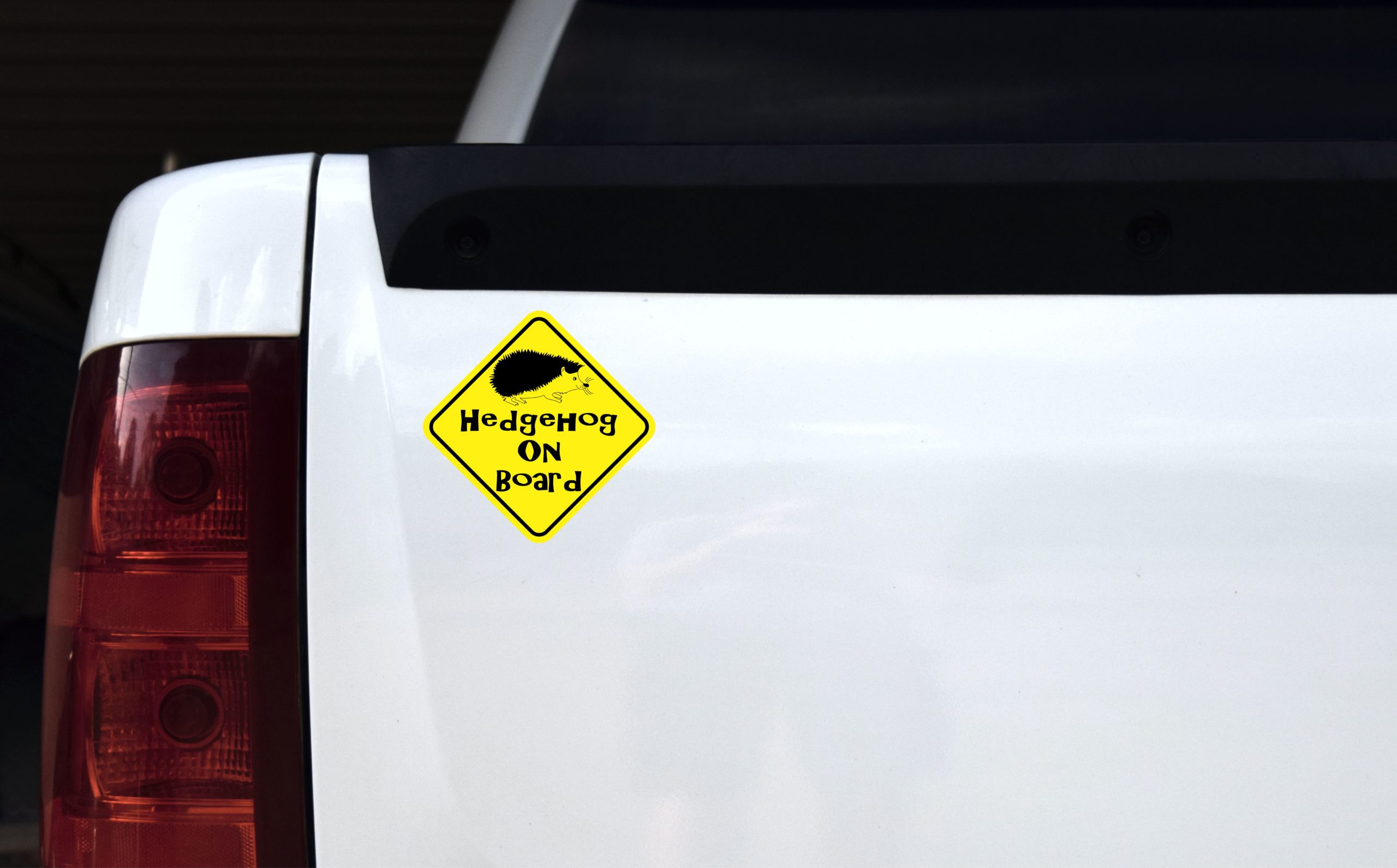 5in x 5in Hedgehog On Board Magnet - Image 2