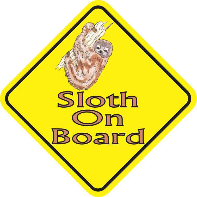 Sloth On Board Magnet