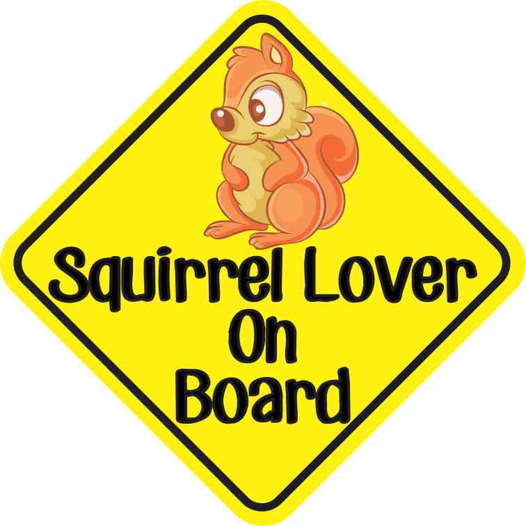 Squirrel Lover On Board Magnet