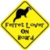 Ferret Lover On Board Magnet