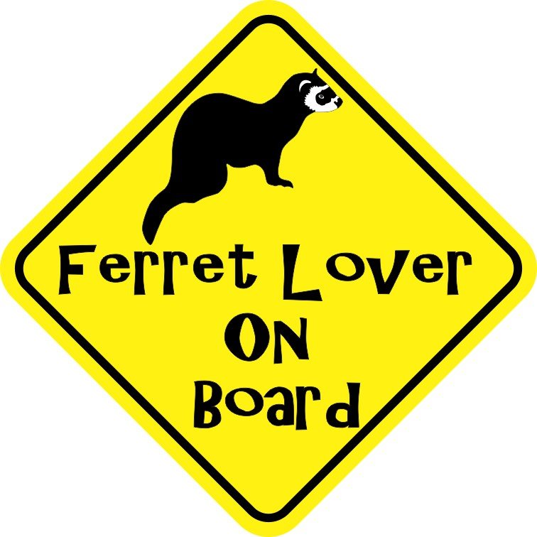 Ferret Lover On Board Magnet