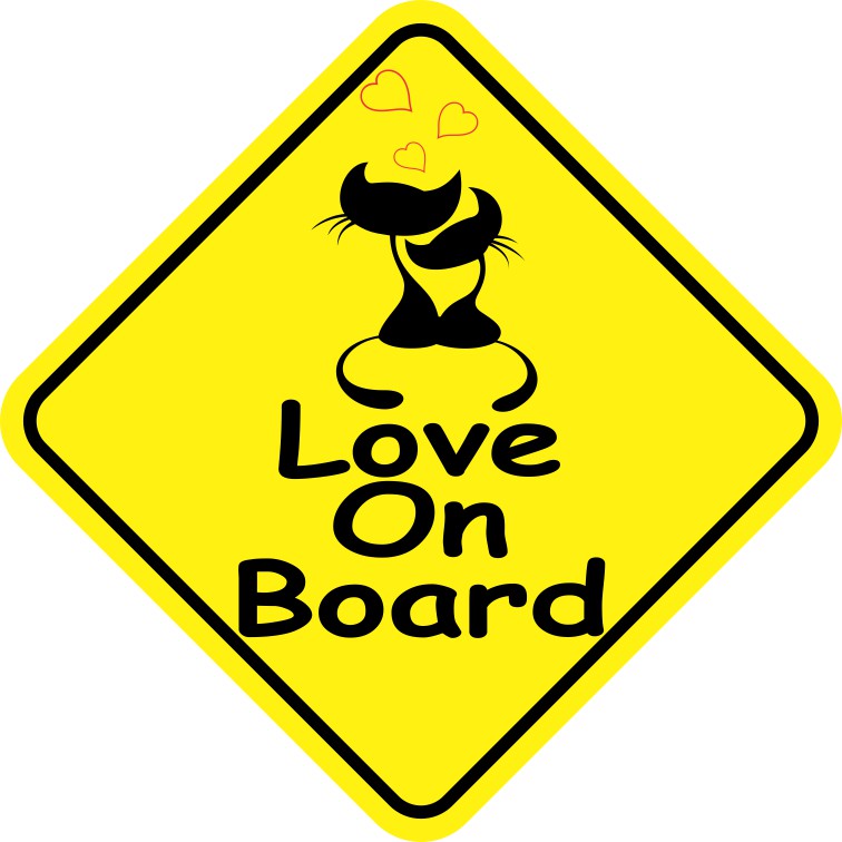Love On Board Magnet
