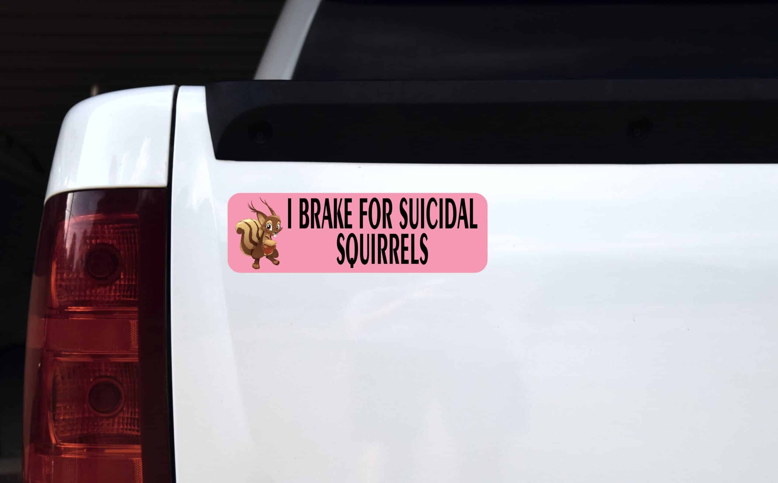 10in x 3in Pink I Brake for Suicidal Squirrels Sticker