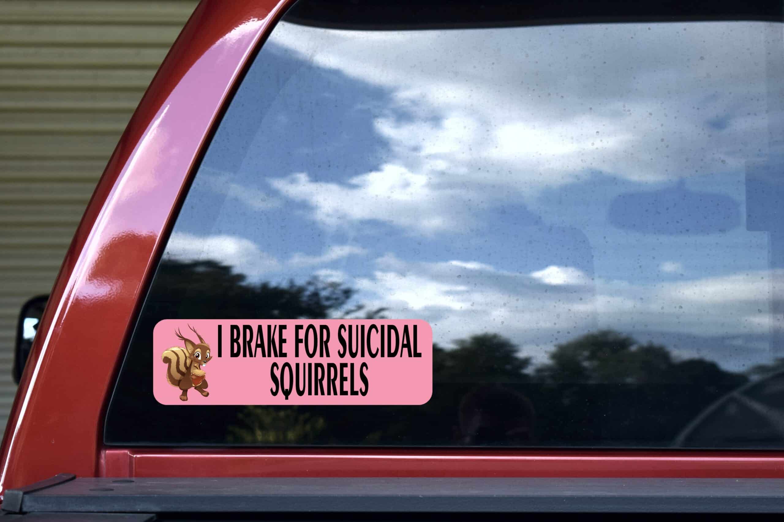 10in x 3in Pink I Brake for Suicidal Squirrels Sticker