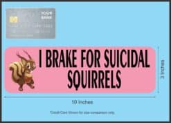 10in x 3in Pink I Brake for Suicidal Squirrels Magnet