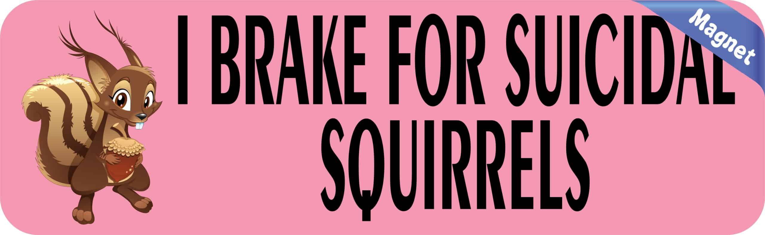 10in x 3in Pink I Brake for Suicidal Squirrels Magnet