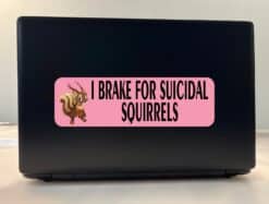 10in x 3in Pink I Brake for Suicidal Squirrels Sticker