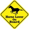 Horse Lover On Board Magnet