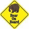 Bear On Board Magnet